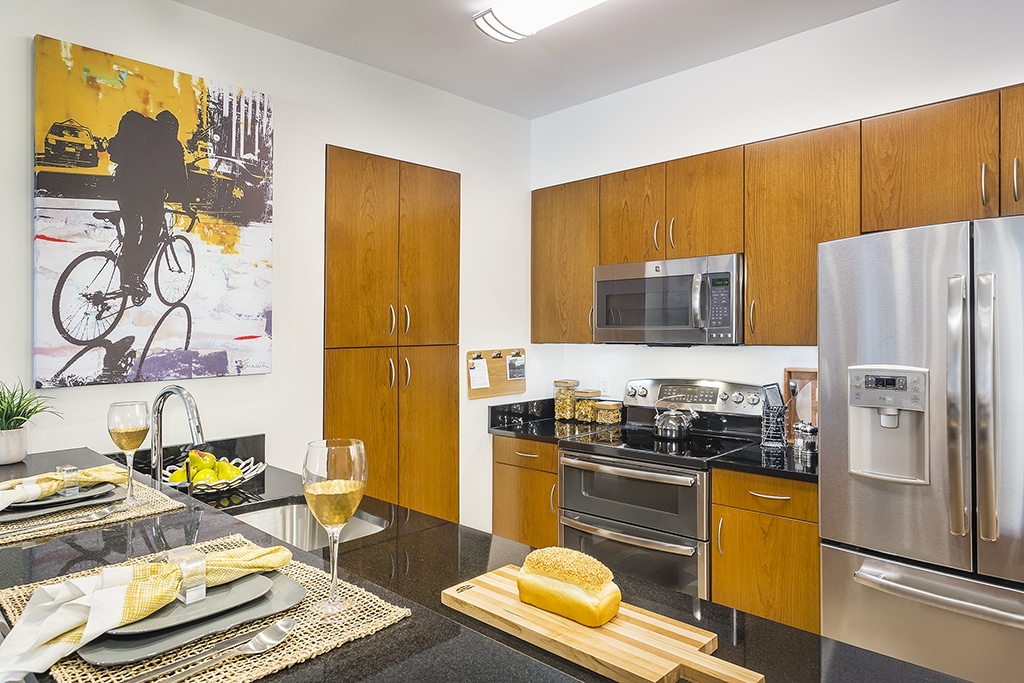 Black Kitchen Countertops, Boston MA multi-family kitchen
